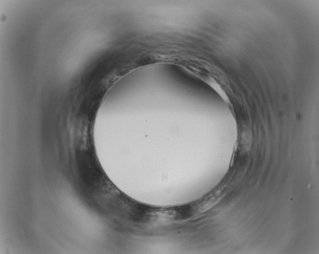 X0000088400525200706121238