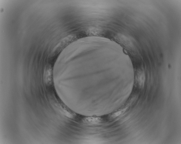 X0000088400526200706121238