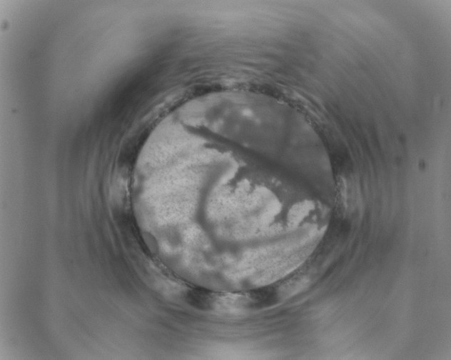 X0000088400527200706121238