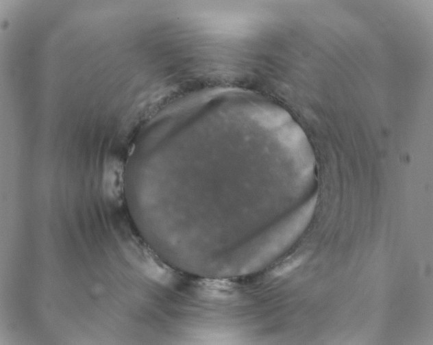 X0000088400528200706121238