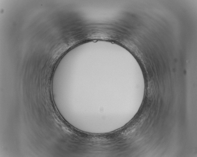 X0000088400529200706121237