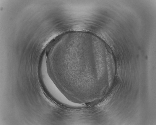 X0000088400530200706121237