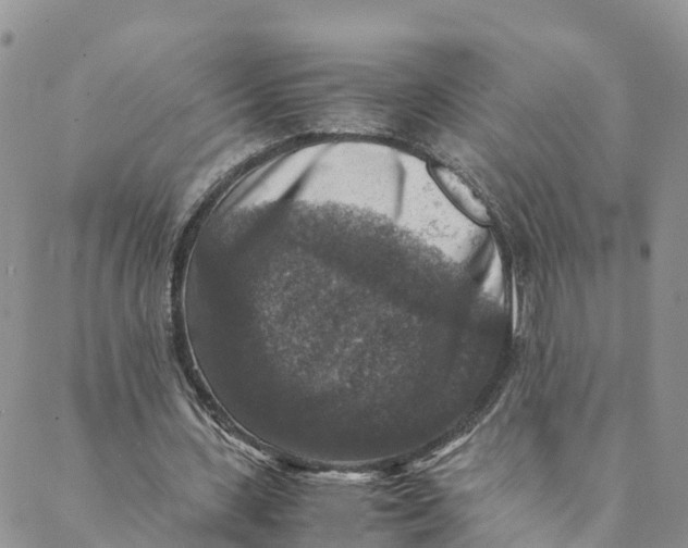 X0000088400531200706121237