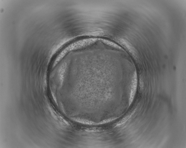 X0000088400532200706121237