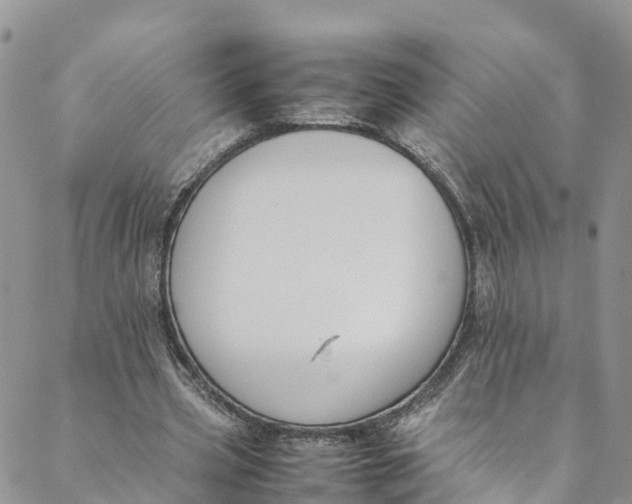 X0000088400533200706121237