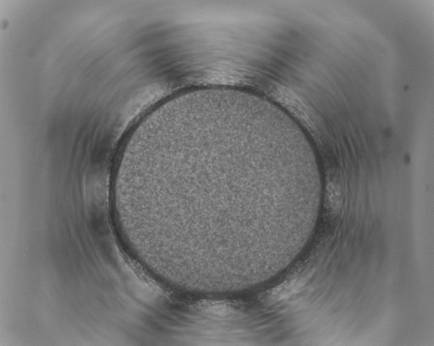 X0000088400534200706121237