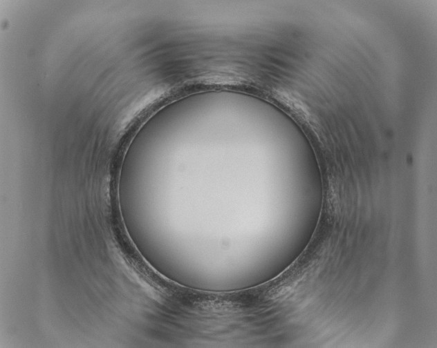 X0000088400535200706121237