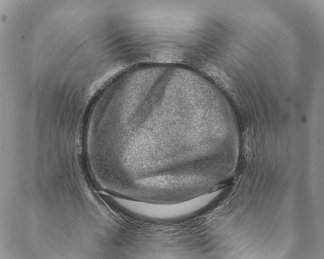 X0000088400536200706121237