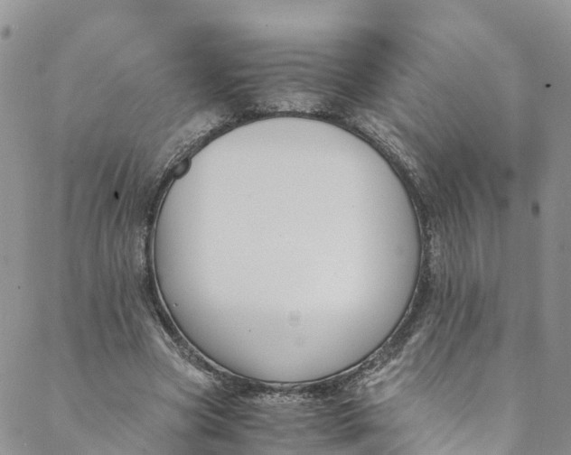 X0000088400537200706121237