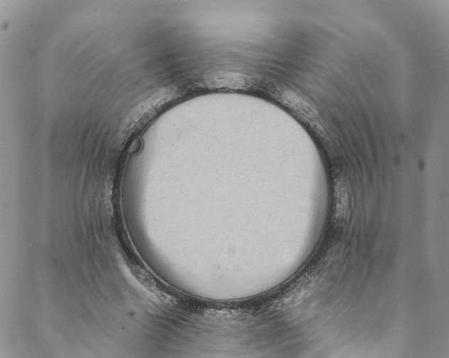 X0000088400538200706121237