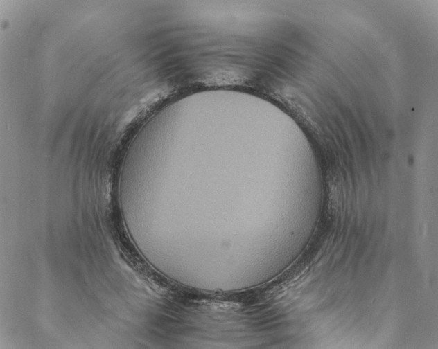 X0000088400539200706121237