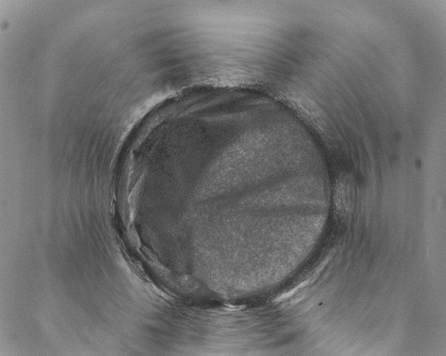 X0000088400540200706121237