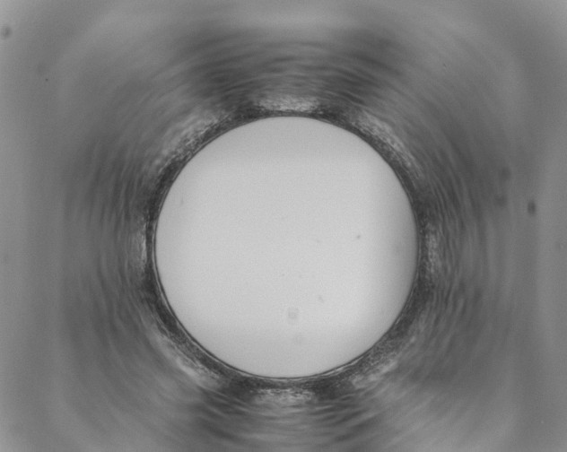 X0000088400541200706121237