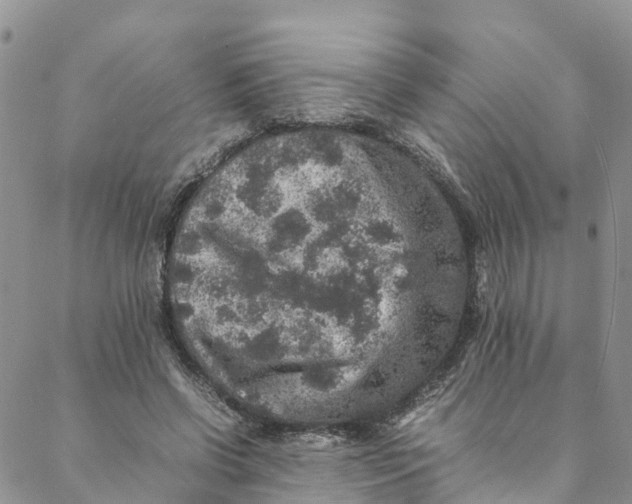 X0000088400542200706121237