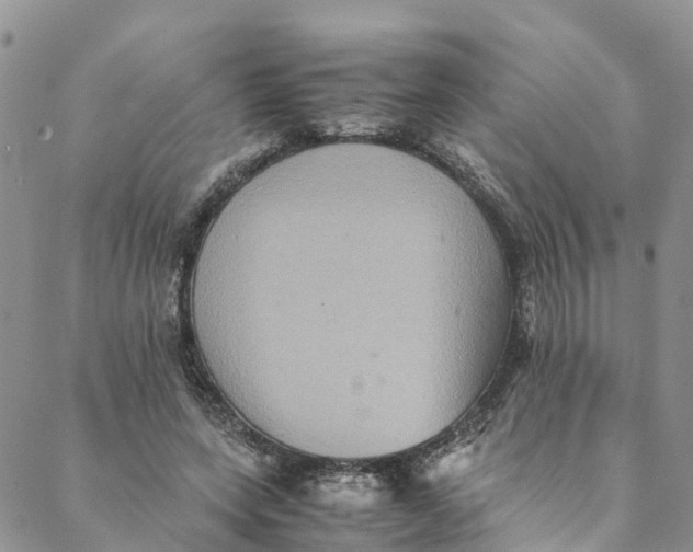 X0000088400543200706121237