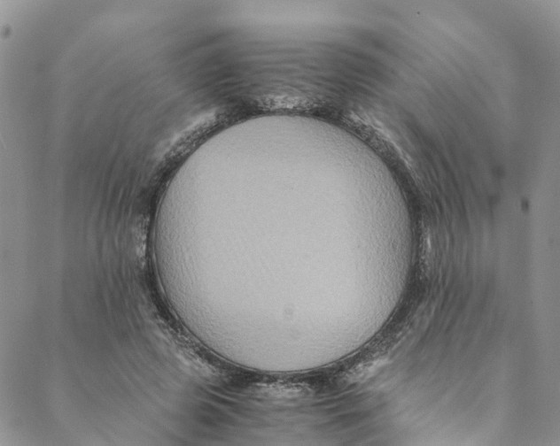 X0000088400545200706121237