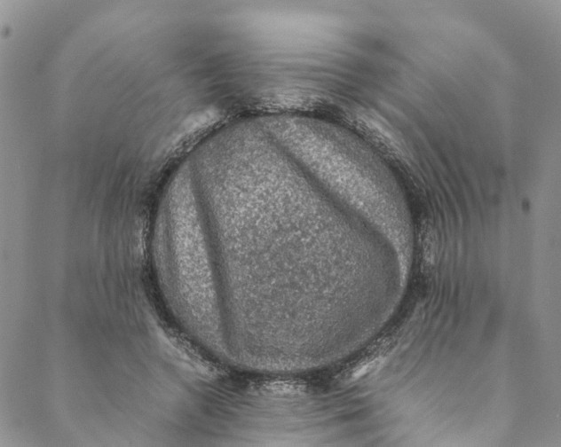 X0000088400546200706121237