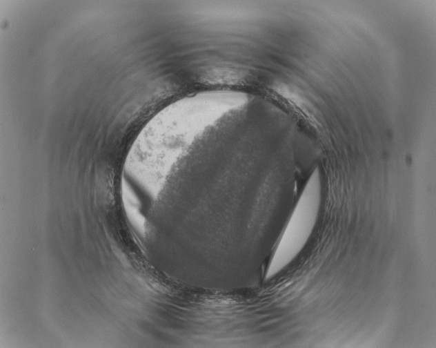 X0000088400547200706121237