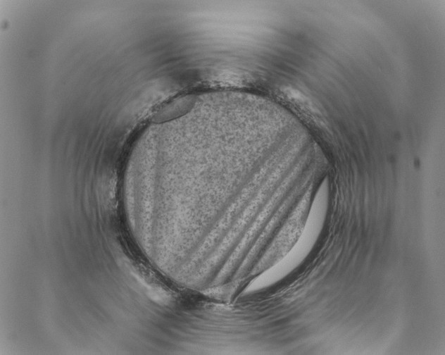 X0000088400548200706121237