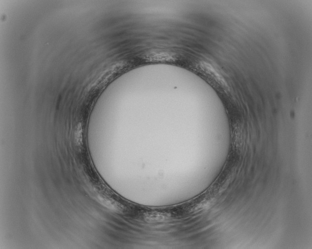 X0000088400549200706121237