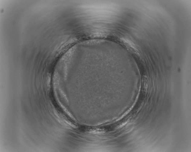 X0000088400550200706121237