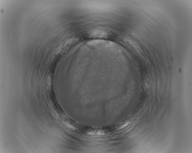 X0000088400551200706121237