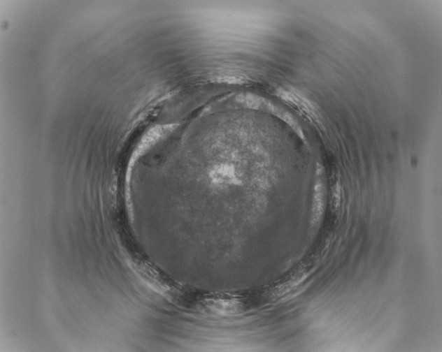 X0000088400552200706121237