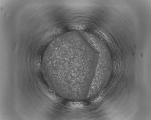 X0000088400553200706121237