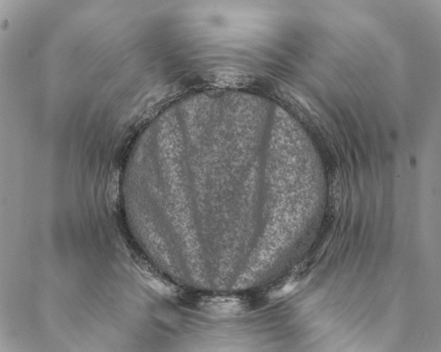 X0000088400554200706121238