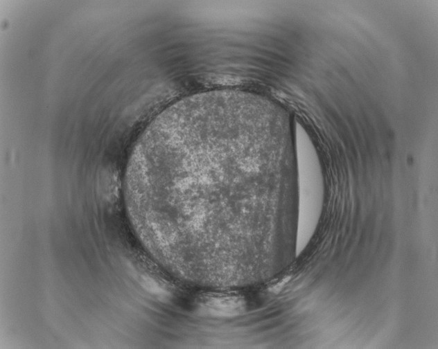 X0000088400555200706121238