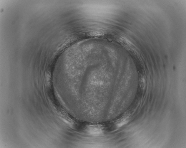 X0000088400556200706121238