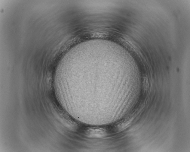 X0000088400557200706121238