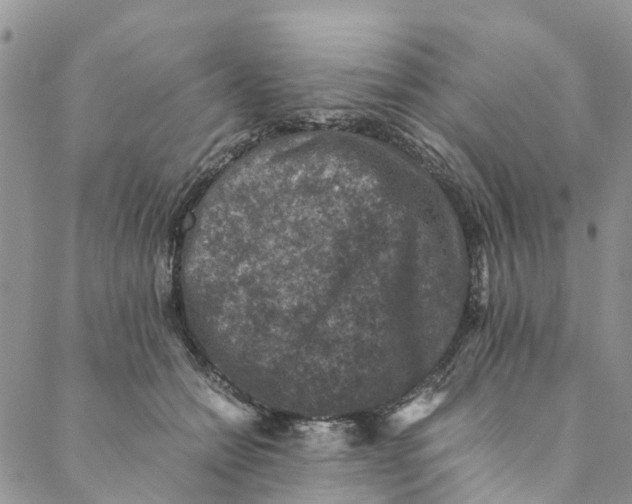 X0000088400558200706121238