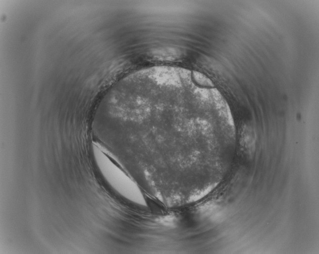 X0000088400559200706121238