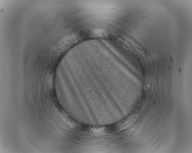 X0000088400560200706121238