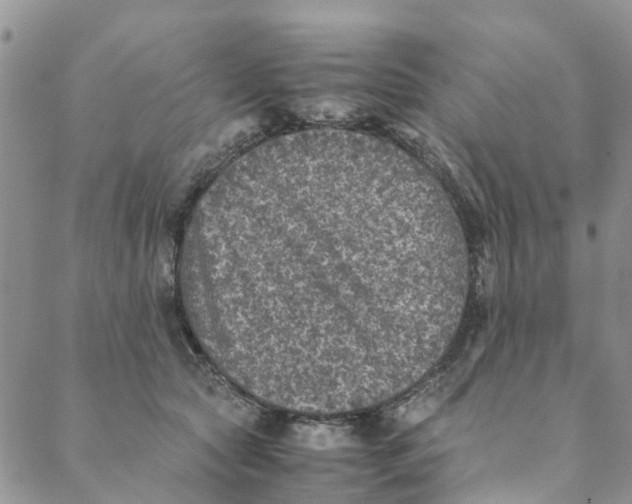 X0000088400561200706121238