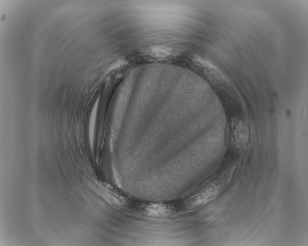 X0000088400562200706121238