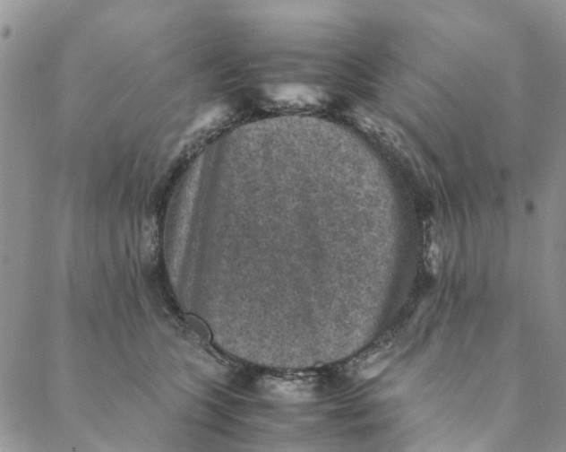 X0000088400563200706121238