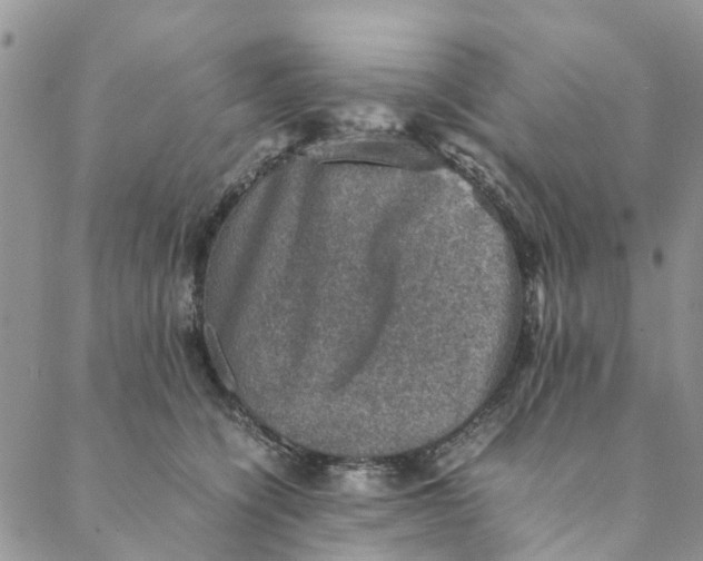 X0000088400564200706121238