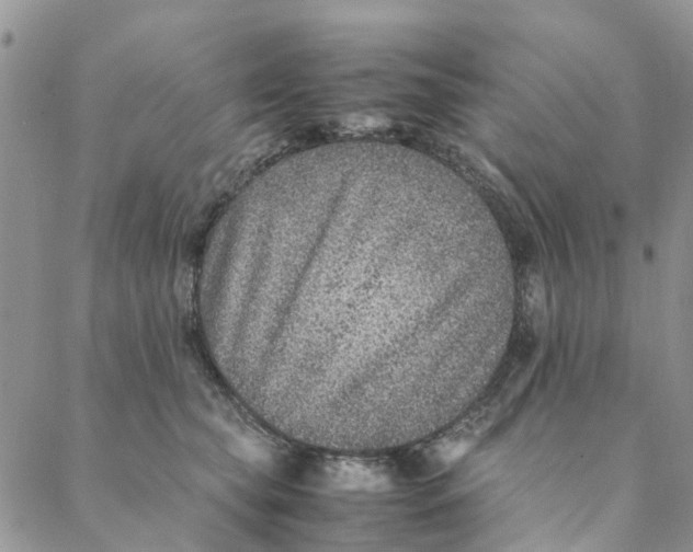 X0000088400565200706121238