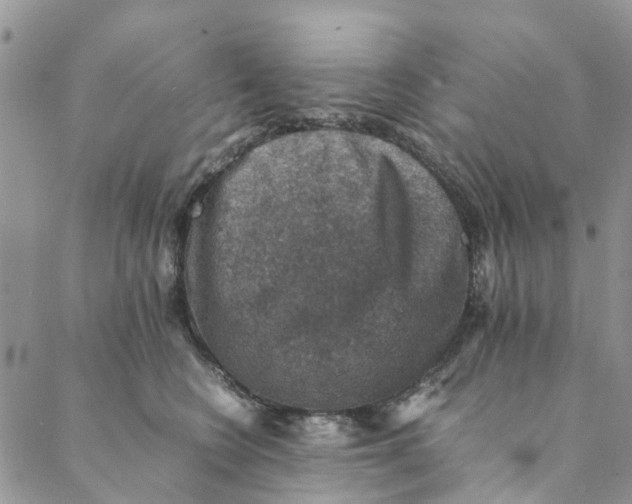 X0000088400566200706121238