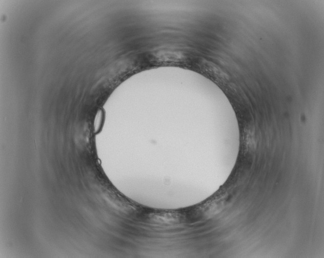 X0000088400567200706121238