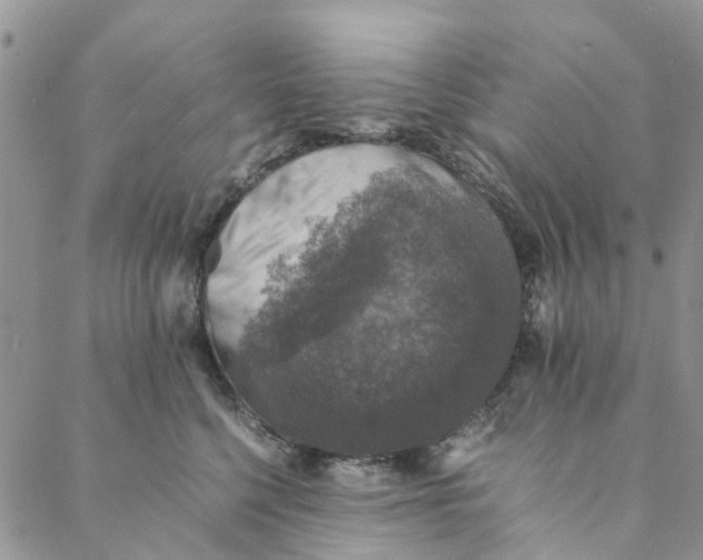 X0000088400568200706121238