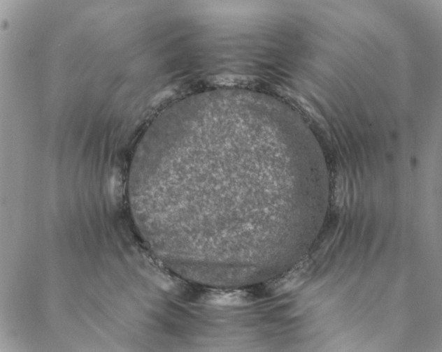 X0000088400569200706121238