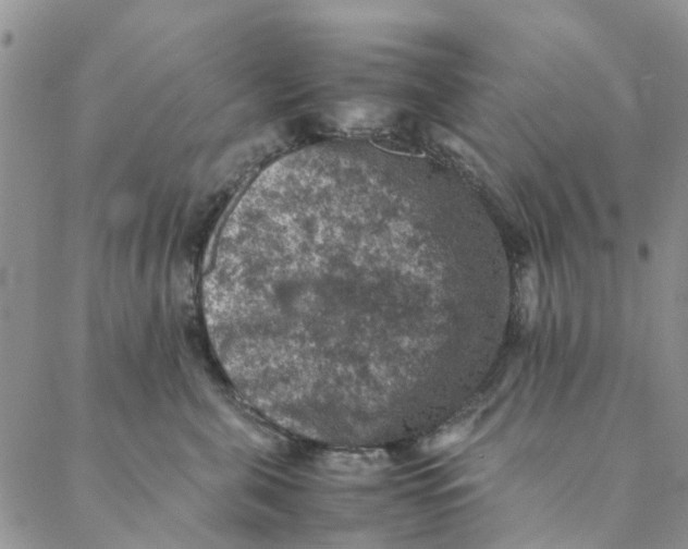 X0000088400571200706121238