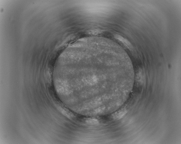 X0000088400572200706121238