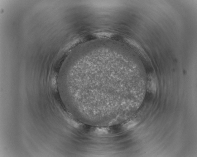 X0000088400573200706121238