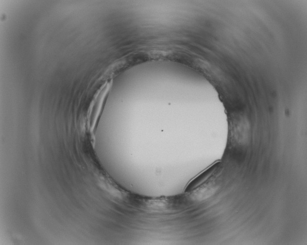 X0000088400574200706121238