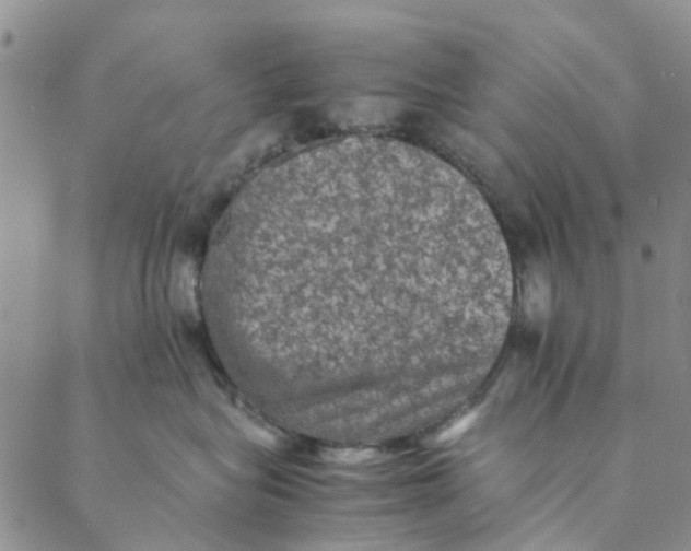 X0000088400575200706121238