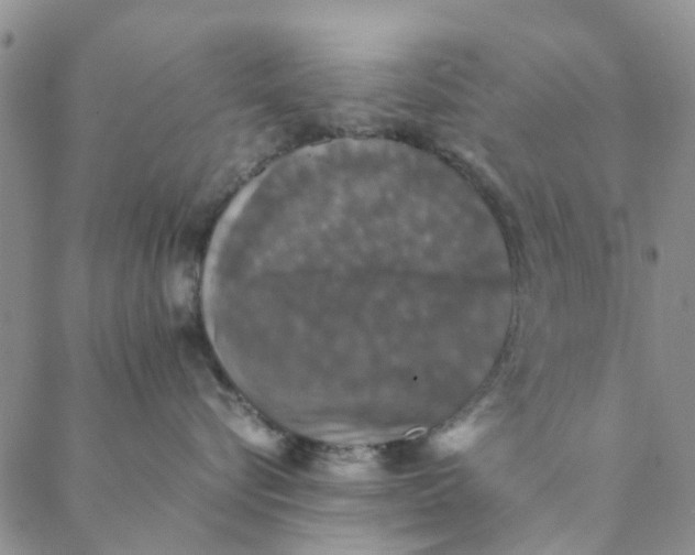 X0000088400576200706121238